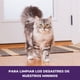 thumbnail image 4 of Eliminador Manchas Olores Gato 118 Ml (portable), 4 of 6