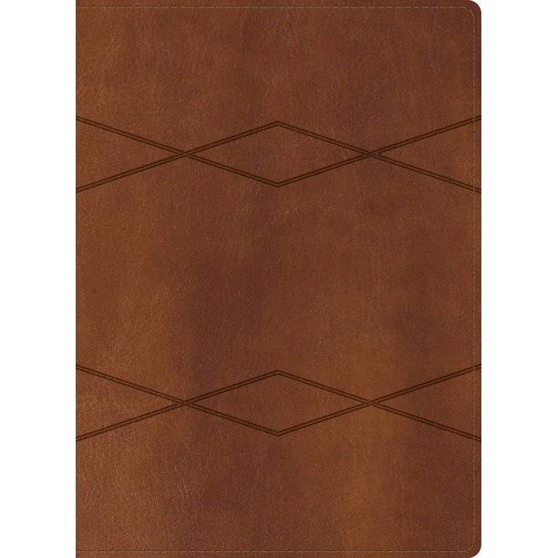 Biblia de estudio B&H Reina Valera 1960 con cubierta de cuero marrón (LeatherTouch)