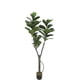 thumbnail image 5 of Árbol Artificial Ficus Lyrata 170 cm, 5 of 10