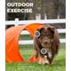 thumbnail image 4 of Kit de entrenamiento de agilidad para perros Outward Hound Zip & Zoom Outdoor, 4 of 8