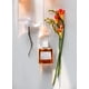 thumbnail image 3 of Perfume KORRES Sikinos Eau de Toilette 50 ml para mujeres y hombres, 3 of 6