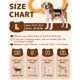 thumbnail image 5 of Pañales desechables Pull‑Up para perras talla L – 20 unidades, 5 of 9