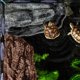 thumbnail image 2 of Plataforma de descanso para tortugas Abustle pig gris 22 × 13 × 4 cm con 3 ventosas, 2 of 8