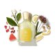 thumbnail image 4 of Perfume Creed Néroli Sauvage Eau de Parfum, 100 ml, para hombre y mujer, 4 of 5