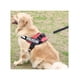 thumbnail image 2 of Arnes Police K9 Reforzado Perros, 2 of 3