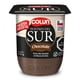 thumbnail image 1 of Postre Sabor Chocolate del Sur Pote, 110 g, 1 of 3