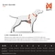 thumbnail image 3 of Arnés para perro Non‑stop dogwear 5.0 acolchado naranja talla 1, 3 of 9