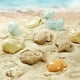 thumbnail image 2 of Juego De Playa Balde 10pcs, 2 of 3