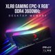 thumbnail image 2 of Memoria PNY XLR8 Gaming 16 GB (2 x 8 GB) DDR4 3600 MHz RGB, 2 of 7