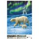 thumbnail image 5 of Rompecabezas Buffalo Games: Northern Lights Bears, 1000 unidades, 5 of 6
