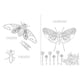thumbnail image 3 of Insectopinta blanco, 3 of 6