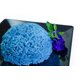 thumbnail image 4 of Polvo de Flor de Guisante Mariposa Naturegrail 50 g Colorante Natural, 4 of 9