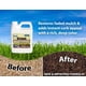 thumbnail image 2 of Concentrado de color para mulch Mulch Worx marrón 946 ml, 2 of 9
