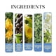 thumbnail image 5 of Perfume Rebel Pheromone Cologne Para Hombre 2 Ml X 2, 5 of 9