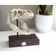 thumbnail image 5 of Réplica de calavera de Tyrannosaurus Rex Jurassic World, 23 x 20 cm, resina, 5 of 7