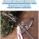 thumbnail image 2 of Shifter de bicicleta MEGHNA de 21 velocidades, 2 of 3