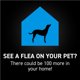 thumbnail image 4 of Prevención de pulgas y garrapatas NEXTSTAR para perros pequeños, 1 mes, 4 of 5