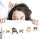 thumbnail image 2 of Juego de Sábanas Tuyo Print King Cats Lover, 2 of 2
