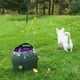 thumbnail image 2 of Lanzapelotas Para Perros PetSafe, 2 of 3