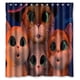 thumbnail image 1 of Cortina de ducha de El Gato con Botas, juego de cortinas de baño con ganchos, tamaño 66 x 72 pulgadas, 1 of 3