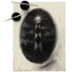 thumbnail image 4 of Set de polvos para dibujo Soho Urban Artist de 15 g con herramientas de difuminado, 4 of 7