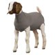 thumbnail image 1 of Tubo de Spandex para Cabras Weaver Livestock, 1 of 3