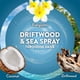 thumbnail image 4 of Air Wick Aceites Perfumados 0+4 Madera Flotante y Bruma Marina, 4 of 9
