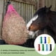 thumbnail image 4 of Uxcell Red de Heno de Alimentación Lenta, Longitud de 40" Agujeros de 2" Fuerte Capacidad de Carga, Bolsa de Alimentación Lenta de Nylon, (Negro, 1 Pza), Para Caballos / Cabras / Remolque / Establo, 4 of 6