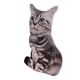thumbnail image 3 of Soft Hugging Cushion Bed Sofa Headrest Kids Stuffed Cat Toy Blanco Y Negro, 3 of 5