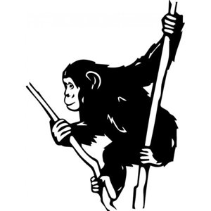 Rienda Libre Graphics - Decomural Chimp Monkey Ws-32740