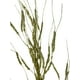 thumbnail image 3 of Rama Sauce Electrico Dorado Claro 72cm, 3 of 3