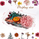 thumbnail image 3 of Flores secas reales cajas variadas, 3 of 3