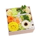 thumbnail image 2 of Jabón Caja de flores de rosas Regalos para el día de la madre Jabón decorativo de baño Flores perfumadas Jabón de baño Pétalos de rosas para mujeres M Verde, 2 of 5