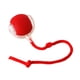 thumbnail image 1 of Juguete Interactivo Para Gatos Ligero Y Portátil Para Gatos De Interior, Adultos, Gatitos, Color Rojo, 1 of 3