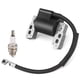 thumbnail image 1 of Bobina De Encendido 590454 Para Motor Briggs Stratton, 1 of 7
