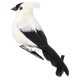 thumbnail image 1 of 1 Unids Artificial Bird Pluma Espuma Simulación Aves Home Garden Decor White, 1 of 5