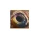 thumbnail image 3 of Discográfica COLUMBIA RECORDS GROUP WE, 3 of 3