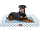 thumbnail image 1 of Cama para Perro NANUYA XXL Ortopédica con Funda Impermeable 86x74 cm, 1 of 7