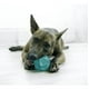thumbnail image 3 of Kong Dental Squeezz Ball Pelota Dental Con Textura Talla M, 3 of 6