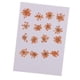 thumbnail image 5 of 16 Piezas De Flores Prensadas Secas DIY En Relieve Material De La Caja Del Teléfono Del Marco De La Foto, 5 of 5