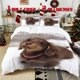 thumbnail image 1 of 3pcs Brown Dachshund Printed Bedding Set Soft Duvet Cover with 2 Pillowcases All Season Comfort, 1 of 5
