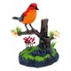 thumbnail image 4 of Canto Chirping Birds Electronic Animal Pets Accesorios Novedad Regalo C, 4 of 5