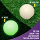 thumbnail image 4 of Dog Ball Toys Chew King Glowing Fetch Ball, paquete de 8 bolas, 4 of 6