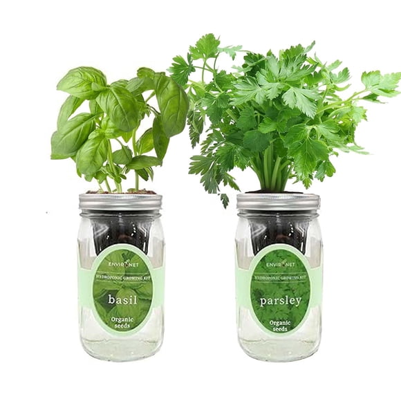 Kit de Cultivo Hidropónico de Hierbas Environet 2 unidades – Albahaca y Perejil