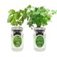 thumbnail image 1 of Kit de Cultivo Hidropónico de Hierbas Environet 2 unidades – Albahaca y Perejil, 1 of 6