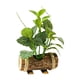 thumbnail image 5 of Plantas Verdes En Macetas Artificiales Plantas En Macetas Pequeñas Para Estante Farmhouse Style V, 5 of 5