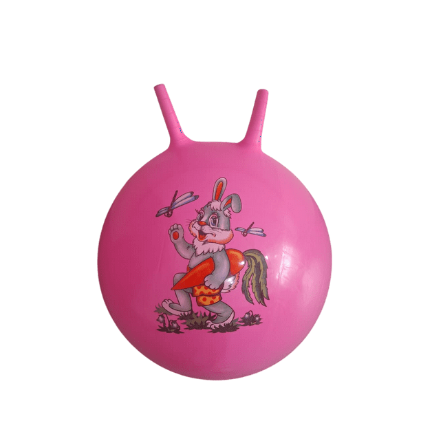 Pelota Saltarina Grande Lider