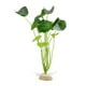 thumbnail image 1 of Adorno Planta Acuario Unique Bargains Verde con Base Cerámica, 1 of 2