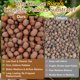 thumbnail image 5 of Bolas de Arcilla Expandida Riare 1,8 kg para Reptiles 4‑16 mm, 5 of 7