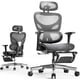 thumbnail image 1 of Silla de oficina Huuger Mesh con reposapiés ergonómico gris/negro, 1 of 3